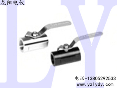 ʽв庸y